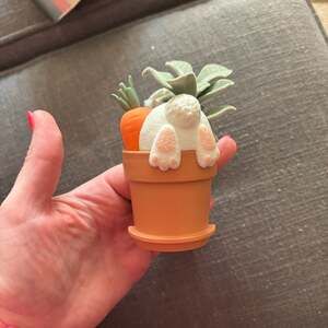 Bath & Body Works BBW Wallflowers Plug Easter Bunny and Carrot Potted Succulent